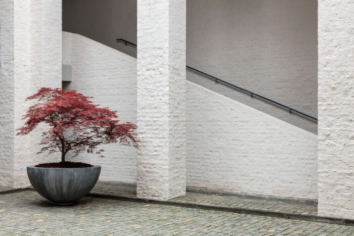 Half Bowl Outdoor Planter - Image 4