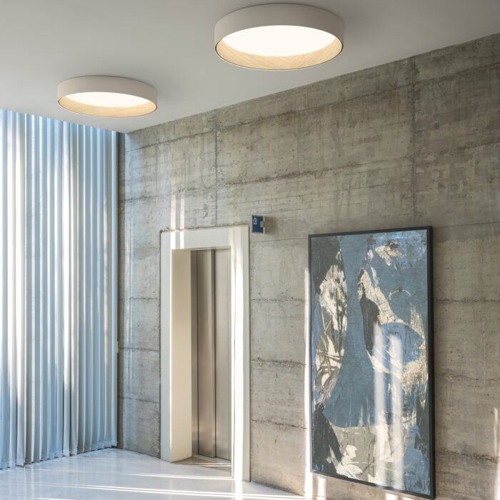 Duo Ceiling Lamp - Image 12