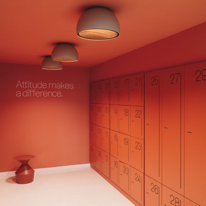Duo Ceiling Lamp - Image 7