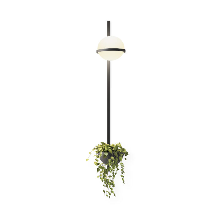 Palma Wall Lamp - Image 11