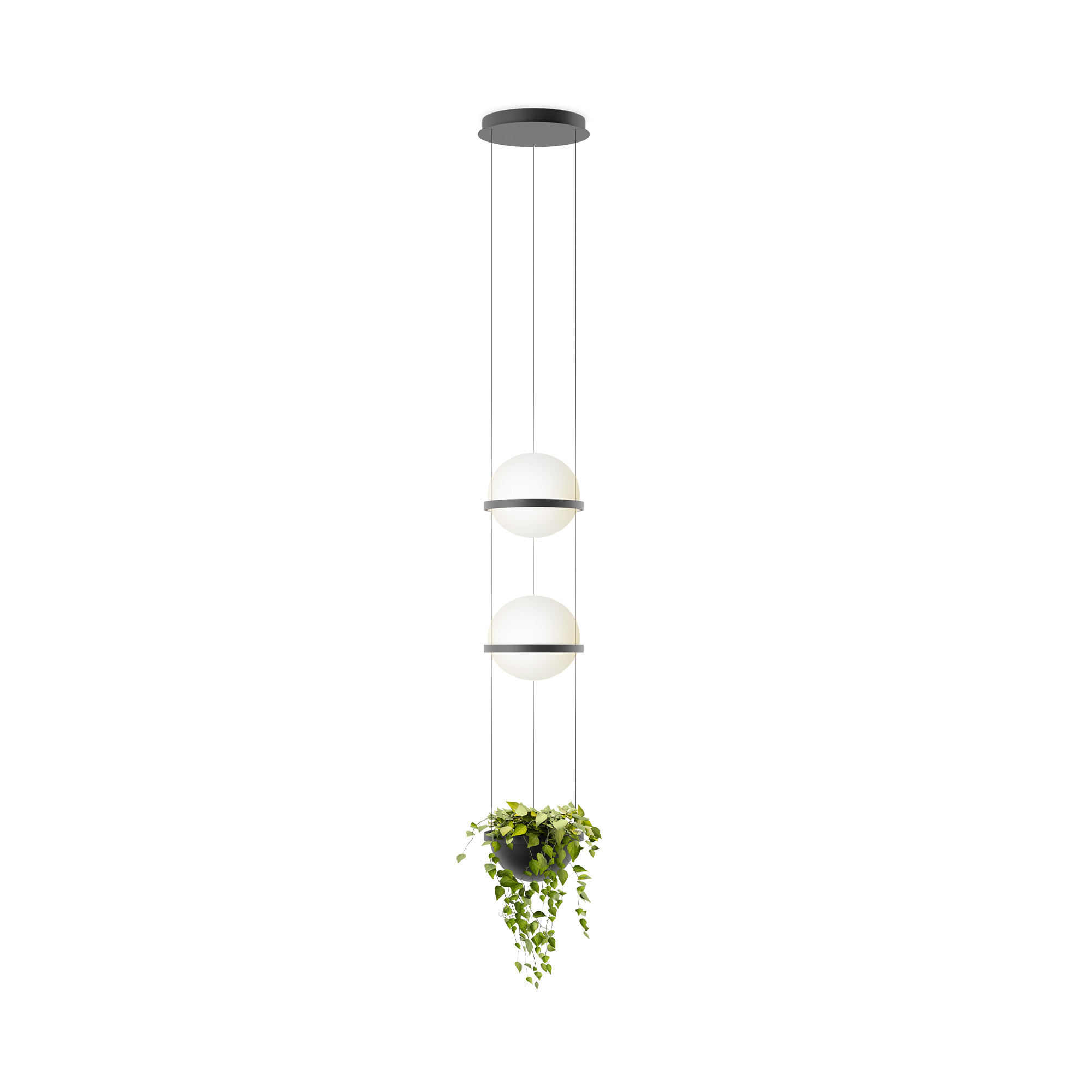 vibia-palma-pendant-01 Palma Pendant - Image 1