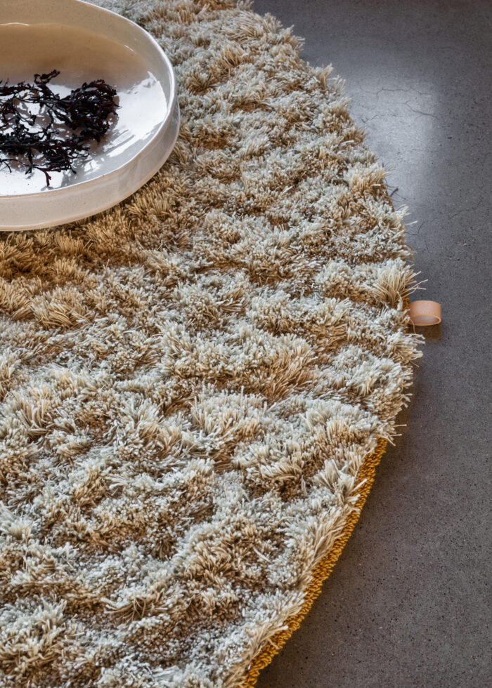 Alegraes Carpet - Image 4