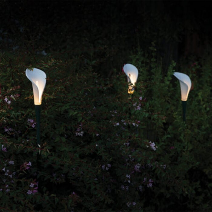 Bloom Lambader - Görsel 3