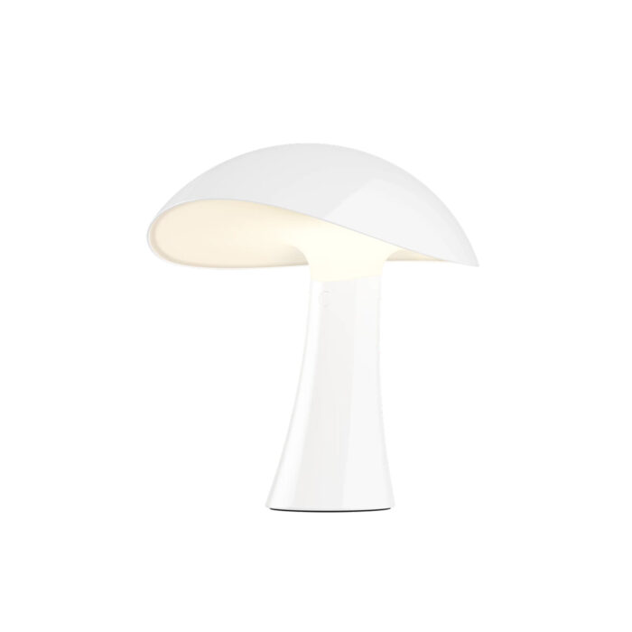Rumee 220 Portable Lighting - Image 15