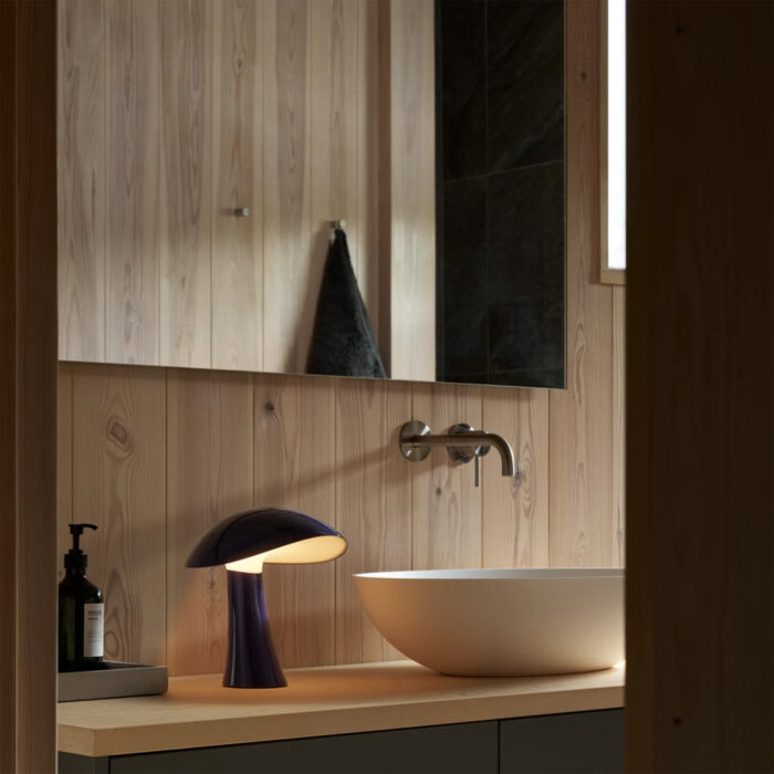 Rumee 220 Portable Lighting - Image 4