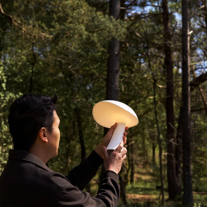 Rumee 220 Portable Lighting - Image 6